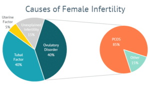 Dr. Silva explains how PCOS affects your fertility and how you can ...