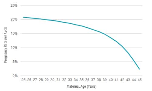 How to determine due date with iui