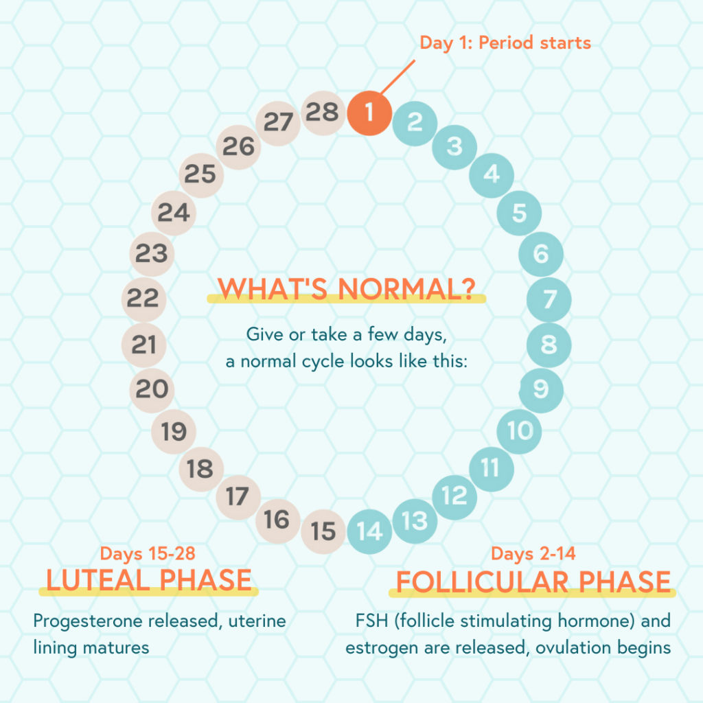 is my period normal infographic